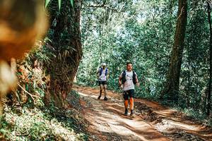 BIB: 
                            <button type="button" onclick="openModal(25395557)" class="btn btn-primary btn-sm float-right btn-popup" data-toggle="modal" data-target=".modal-high-quality">
                        <i class="fas fa-shopping-cart"></i> Add to Cart
                    </button>
                                            <button type="button" onclick="isThisMe(25395557, true)" class="btn btn-success btn-sm float-right btn-popup btn-isme hidden" data-toggle="tooltip" data-placement="bottom" title="นี่คือรูปของคุณใช่ไหม คลิกที่นี่เพื่อเอาเข้าอัลบั้ม">
                        <i class="fas fa-plus"></i> Add to album
                    </button>
                    <button type="button" onclick="isThisMe(25395557, false)" class="btn btn-warning btn-sm float-right btn-popup btn-isnotme hidden">
                        <i class="fas fa-ban"></i> Remove from album
                    </button>